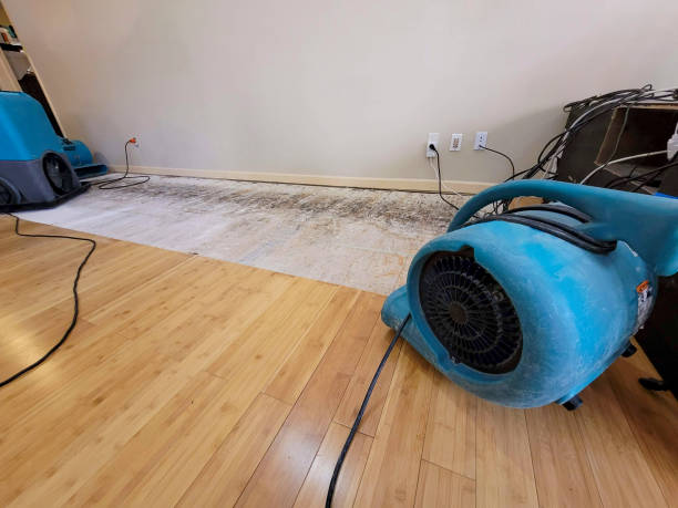 Professional Basement Flood Cleanup technician working in Brownfield, TX